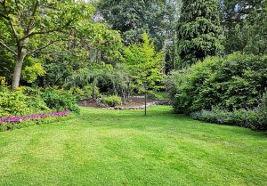 Optimiser l'expérience du jardin à Drouvin-le-Marais